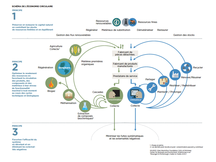 Schéma représentant l'économie circulaire.