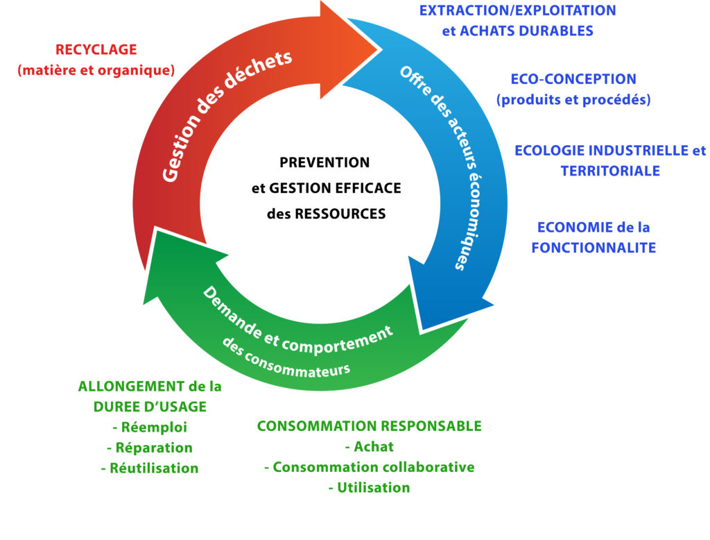 Schéma représentant l'économie circulaire.